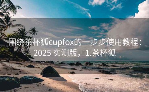 围绕茶杯狐cupfox的一步步使用教程：2025 实测版，1.茶杯狐
