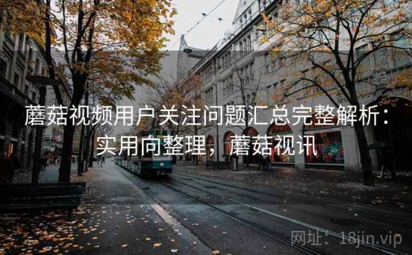 蘑菇视频用户关注问题汇总完整解析：实用向整理，蘑菇视讯