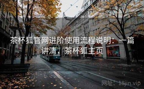 茶杯狐官网进阶使用流程说明：一篇讲清，茶杯狐主页