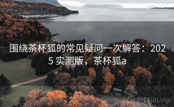 围绕茶杯狐的常见疑问一次解答：2025 实测版，茶杯狐a