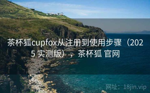 茶杯狐cupfox从注册到使用步骤（2025 实测版），茶杯狐 官网