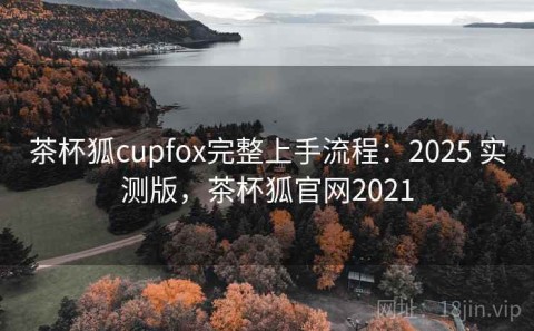 茶杯狐cupfox完整上手流程：2025 实测版，茶杯狐官网2021