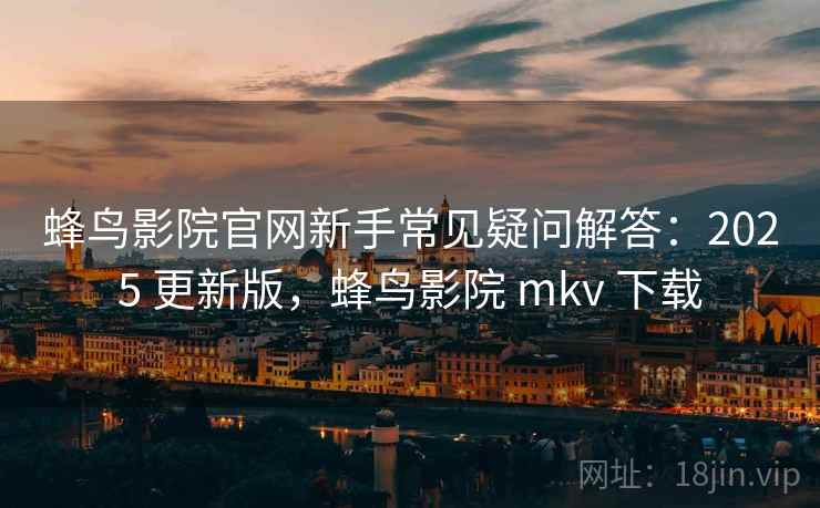 蜂鸟影院官网新手常见疑问解答：2025 更新版，蜂鸟影院 mkv 下载