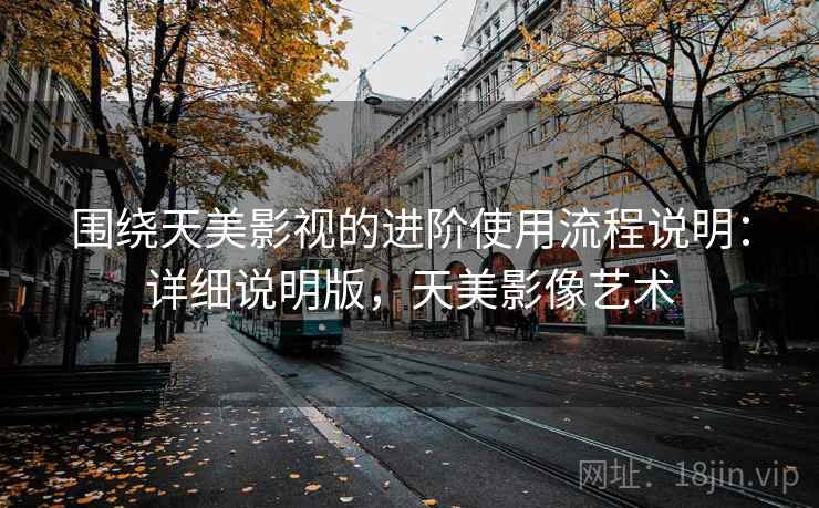 围绕天美影视的进阶使用流程说明：详细说明版，天美影像艺术
