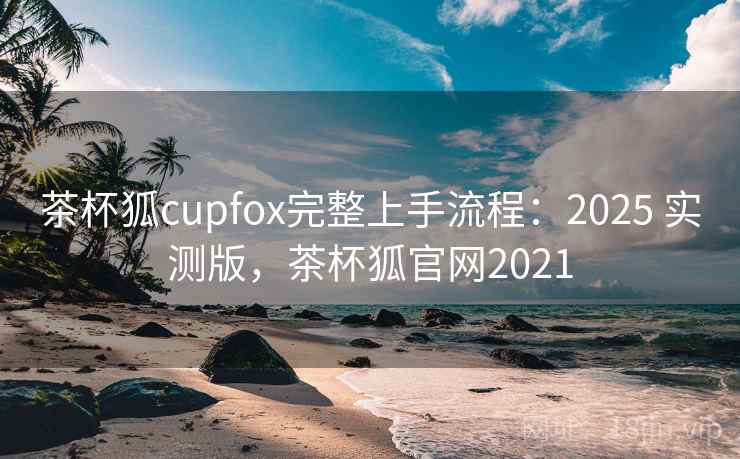 茶杯狐cupfox完整上手流程：2025 实测版，茶杯狐官网2021