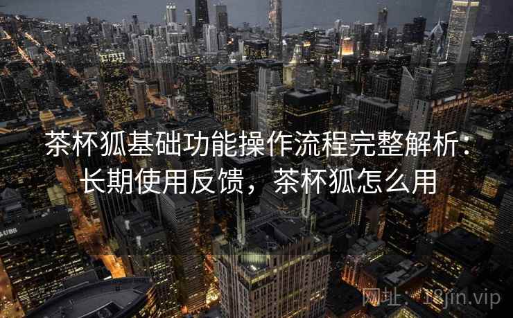 茶杯狐基础功能操作流程完整解析：长期使用反馈，茶杯狐怎么用
