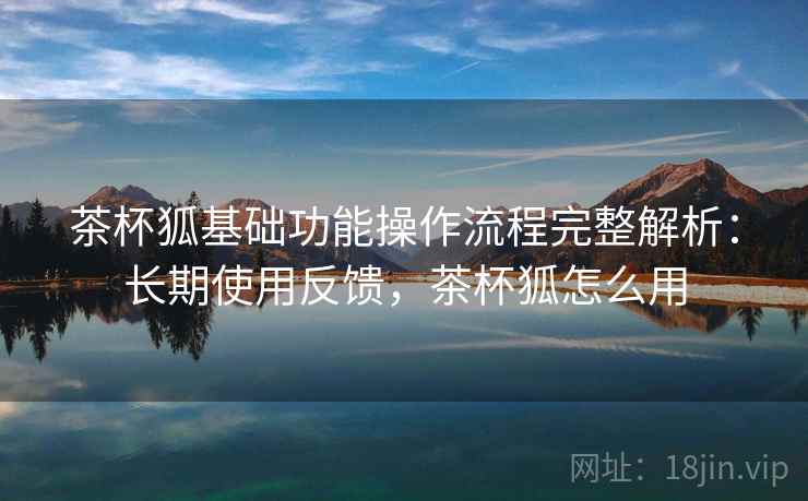 茶杯狐基础功能操作流程完整解析：长期使用反馈，茶杯狐怎么用