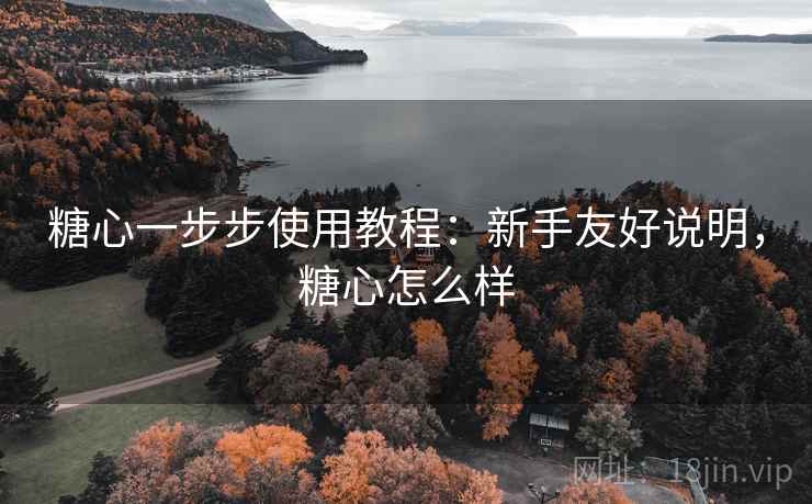 糖心一步步使用教程：新手友好说明，糖心怎么样